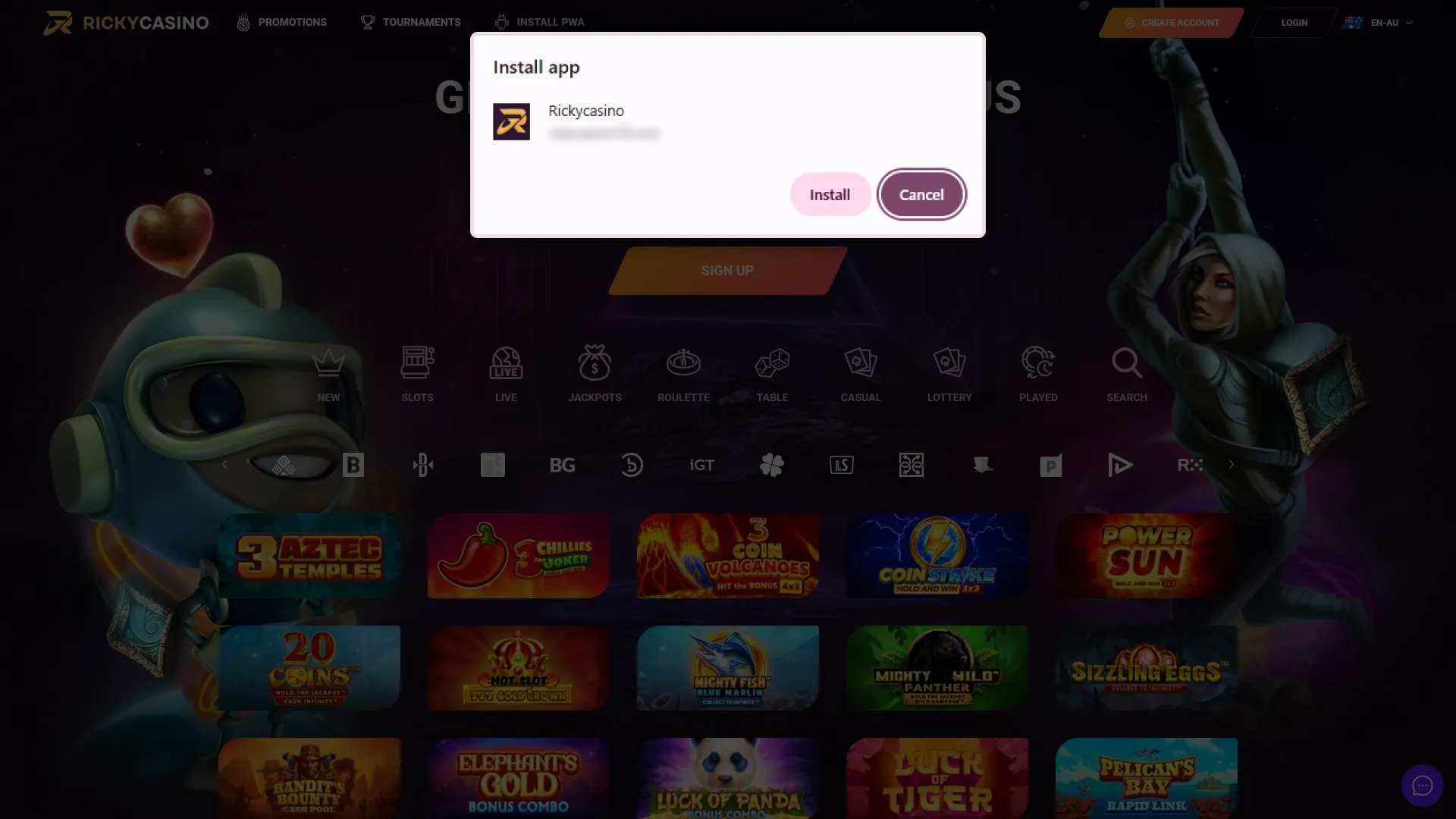 Confirm installation of the PWA to enjoy Ricky Casino desktop access.