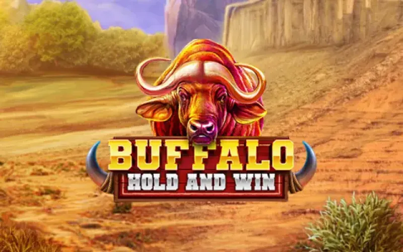 Buffalo Hold awaits adventurous players in Ricky Casino, Australia.