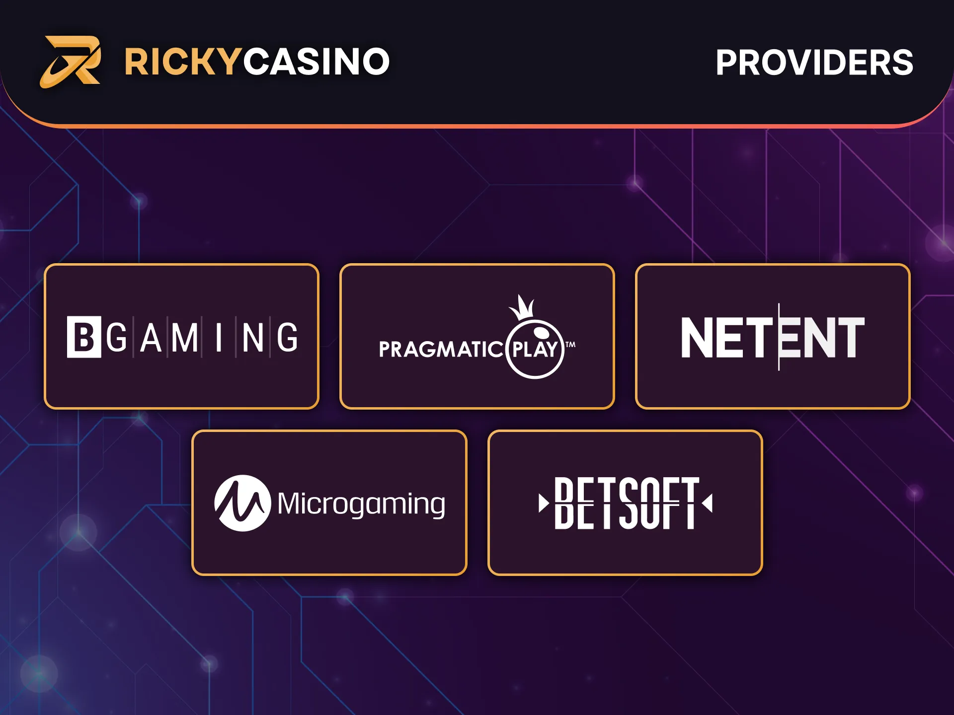 Ricky Casino partners with top game providers for premium experience.