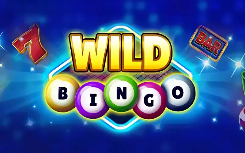Wild Bingo is ready to surprise you in Ricky Casino.