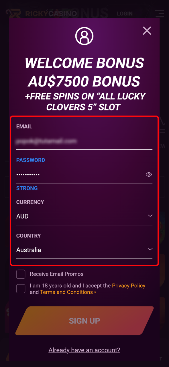 Enter your details like email and currency in the form at Ricky Casino.
